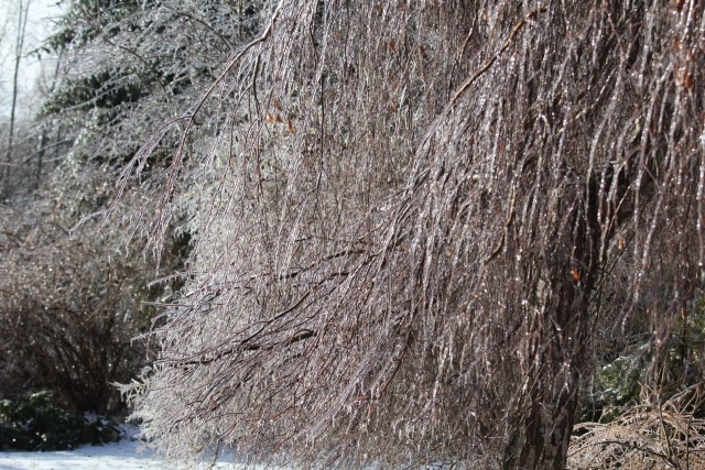 Ледяной дождь 03.05.24 (Лен.обл)