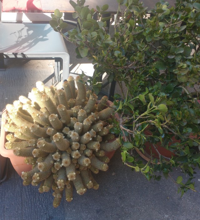 А почему женщин раздражает "являющийся на диване" муж?