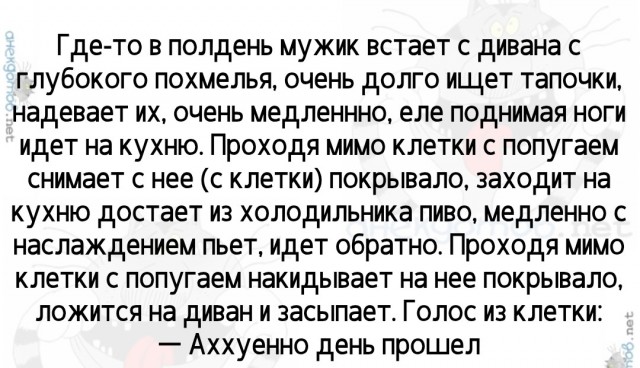 Заведи попугая, говорили они