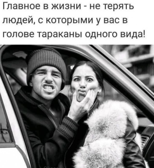 Прикольные и просто красивые картинки 14.08.2026