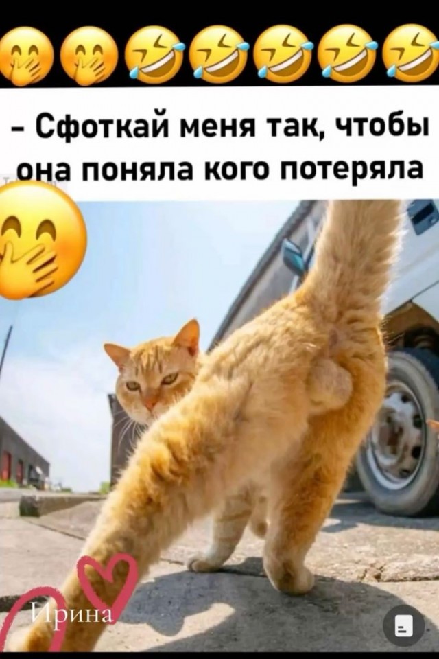 Картинки для деградации 258 ( разной степени свежести)