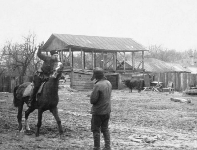 Мадьяр в плен не брать: Венгры творили такое, что даже жестокие немцы иногда вмешивались