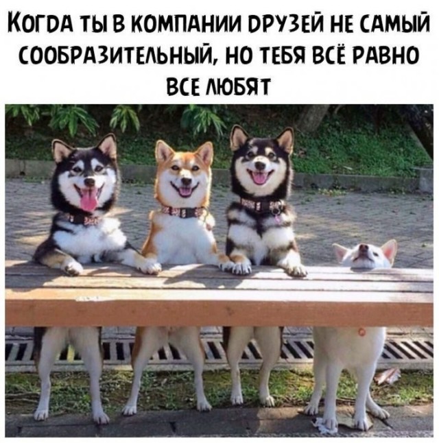 Веселые картинки в последний день лета (31.08)