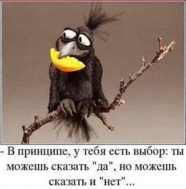 Опять двадцать пять