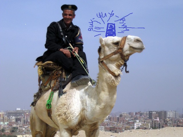 На чем полиция Дубая патрулирует улицы