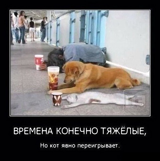 Веселое из сети
