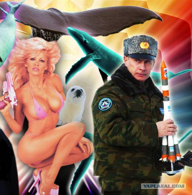 Памела Андерсон написала Владимиру Путину