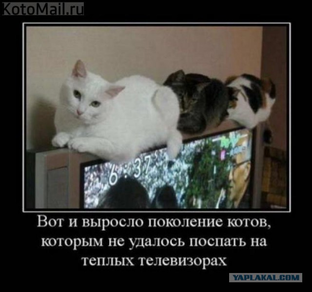 Прикольные объявления и надписи