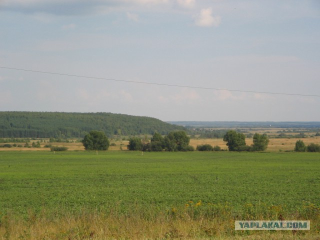 Это Россия, детка