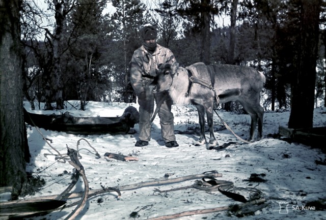 Снайпер. 1940-41 г.