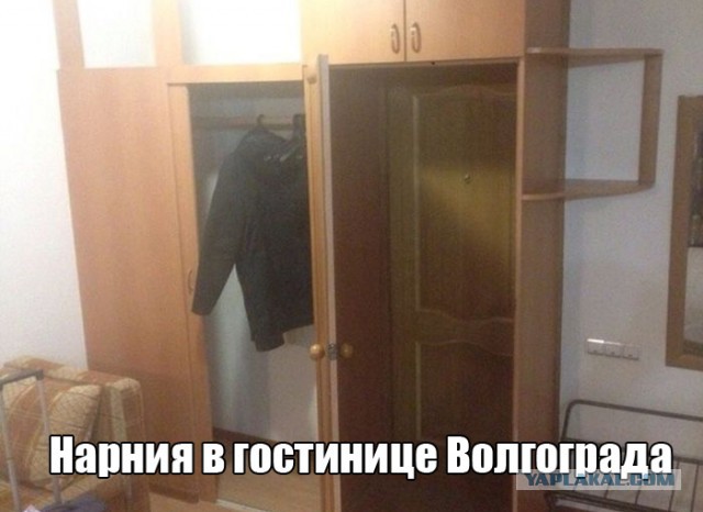Подборка прикольных фото на среду