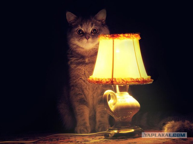 Хорошего вам дня