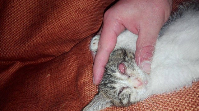 Идем на поправку