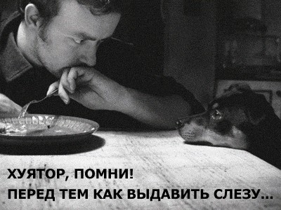 Авторам на заметку!