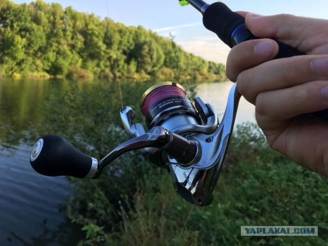 Рыбалка. Спиннинг. Дон.