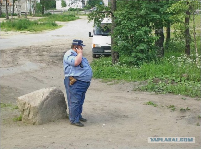 Накормили полицию