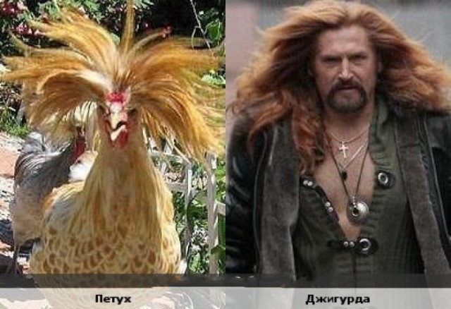 Никита Джигурда спровоцировал конфликт в "Прямом эфире"