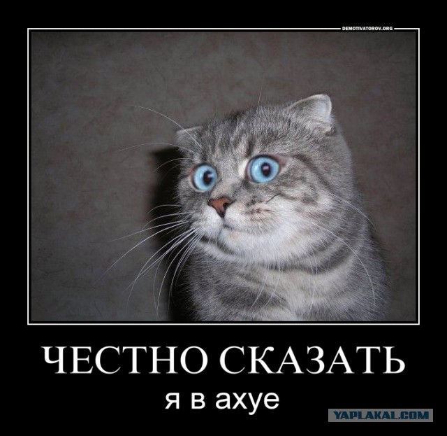 Госдума отказалась проверять данные "расследования" ФБК о Медведеве