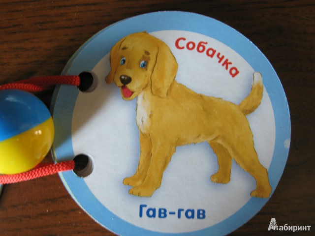 Тестовый вопрос для шестилетних детей