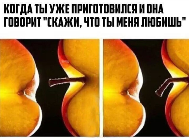 Журнал школьный деградант