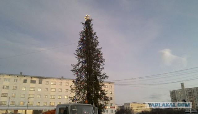 Рейтинг «самых ужасных» рождественских ёлок