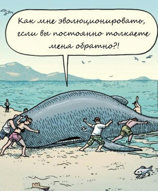"За что? Я хотел эволюционировать!"