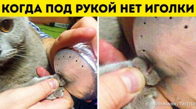 20 примеров изобретательности, граничащей с абсурдом