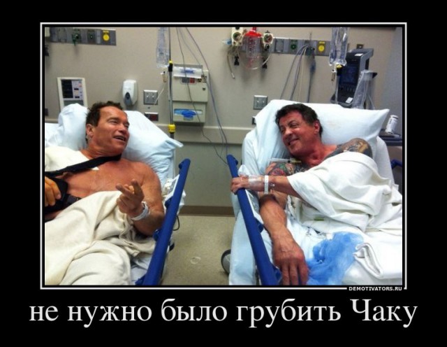 Волк vs барсук. Кто победит?