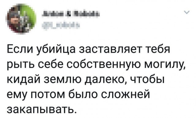 Нестандартный юмор