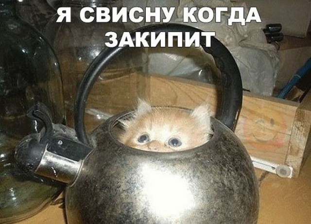 Не все герои носят плащи