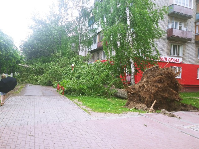 В Нижнем Новгороде ураган вырывает деревья с корнем и переворачивает машины