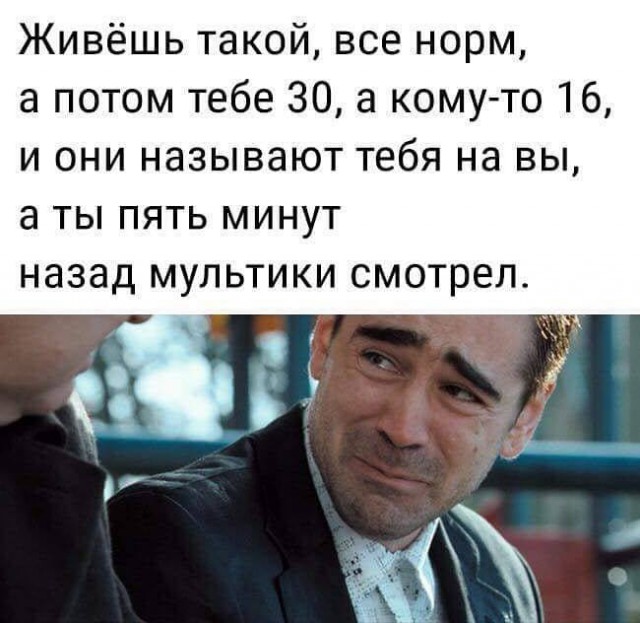 Сорок градусов