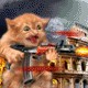 Аватары на заказ
