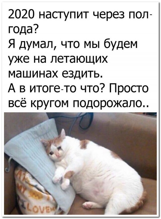 Просто 40  картинок...