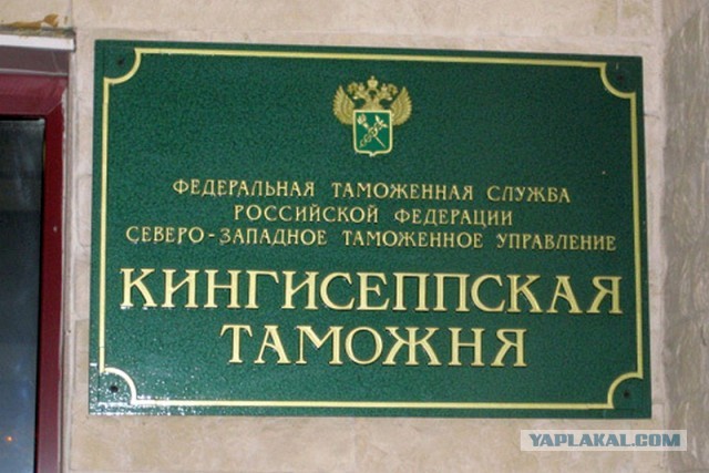 Преступление века. Эстонец пытался незаконно вывезти из России детективы Донцовой