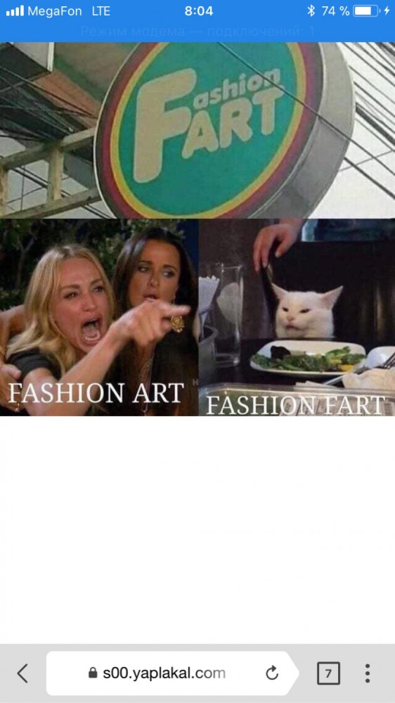 Котовторнику посвящается