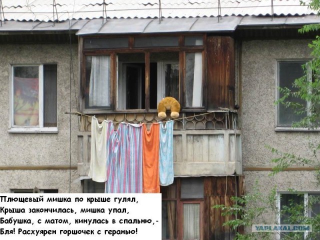 Конкурс: подпись к картинке