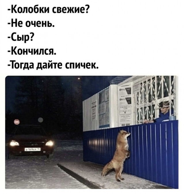 Картинки разные нужны, картинки всякие важны!