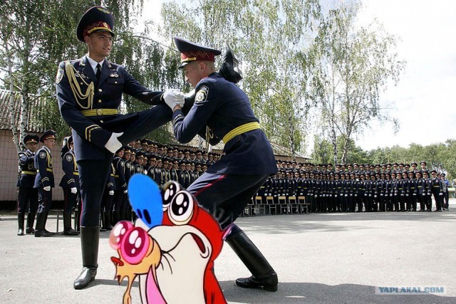 Фотожаба: Тренировочка