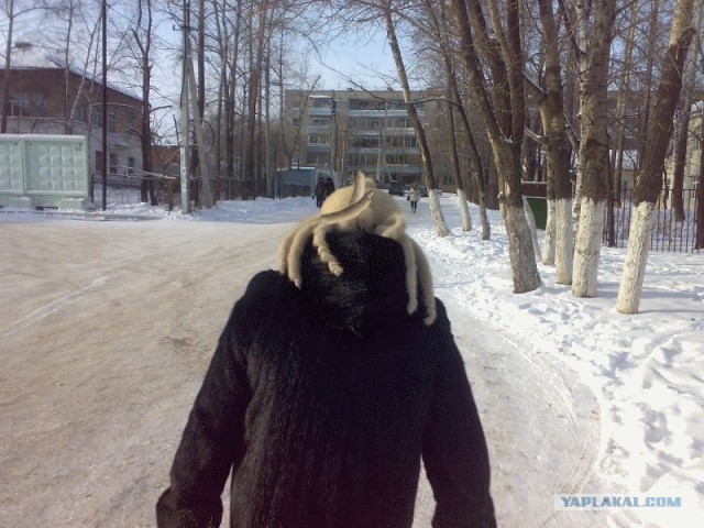 Хедкрабы в твоем городе!