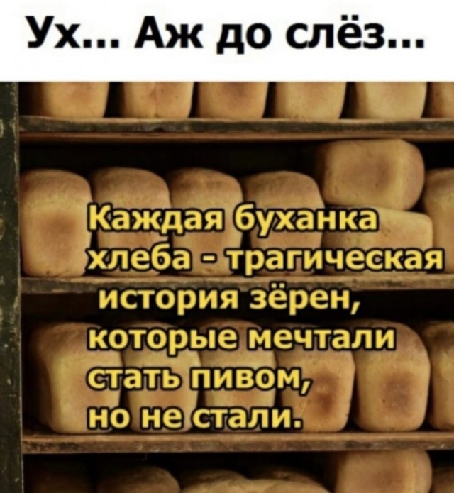 Кретинизмы в джипегах 25.10.20