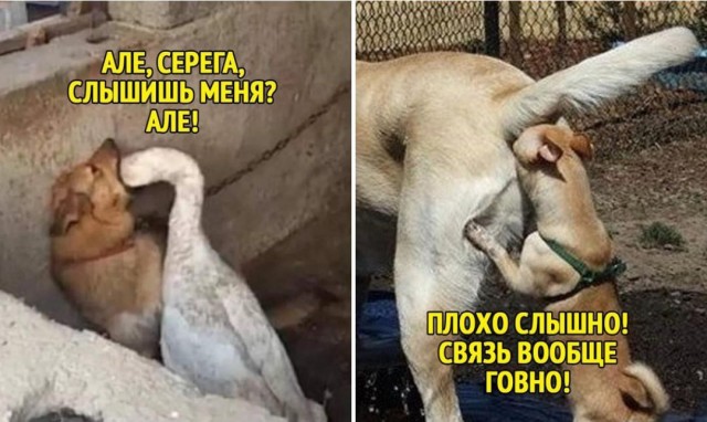 Сотрудник Орифлейма