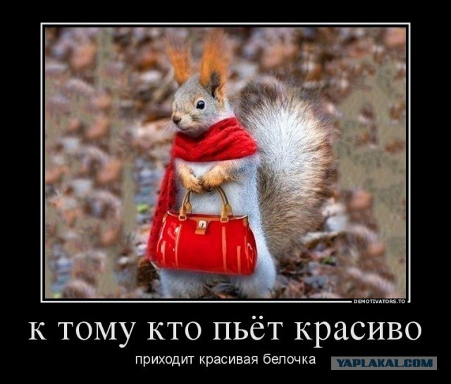 Юмор в картинках 8.12.20