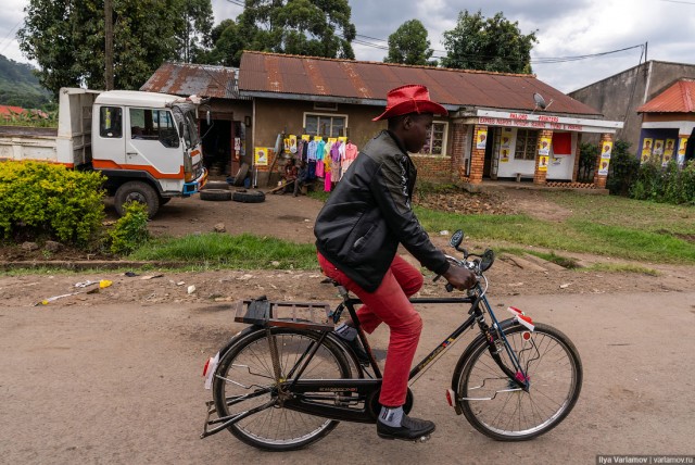 Уганда: самая настоящая Африка с гориллами и носорогами!