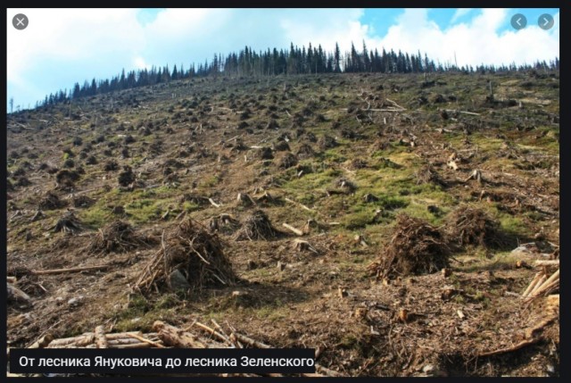 Запущено грузовое движение по мосту из Китая в Россию