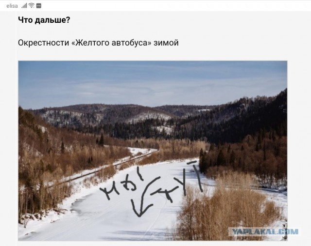«Автобус в лесу»: как чуваки отвезли старые автобусы в лес и сделали из них туристические приюты