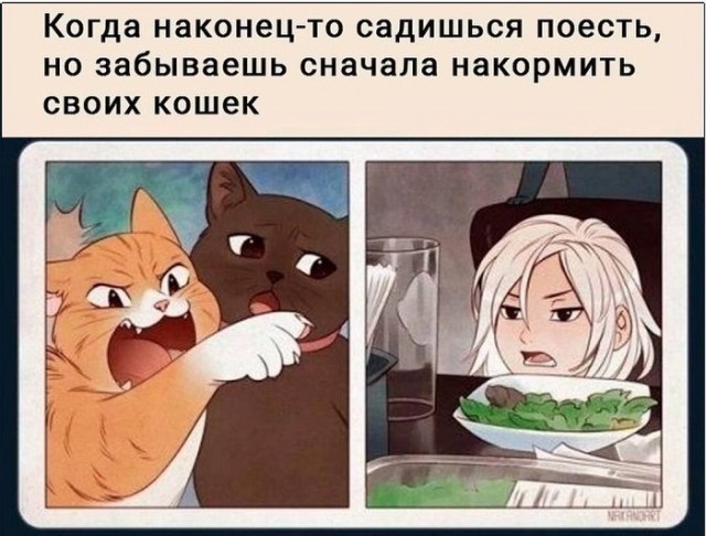 Картинки с надписями и всякие жизненные фразы 16.04.21
