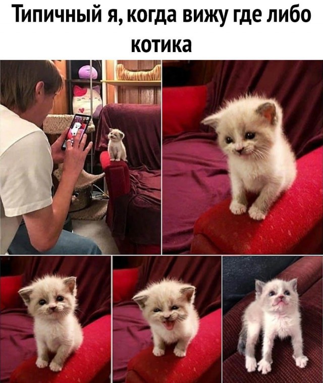 Так себе картинки 25.04.21