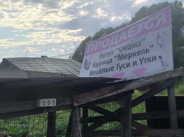 Последняя картинка в вашей Галерее/Загрузках
