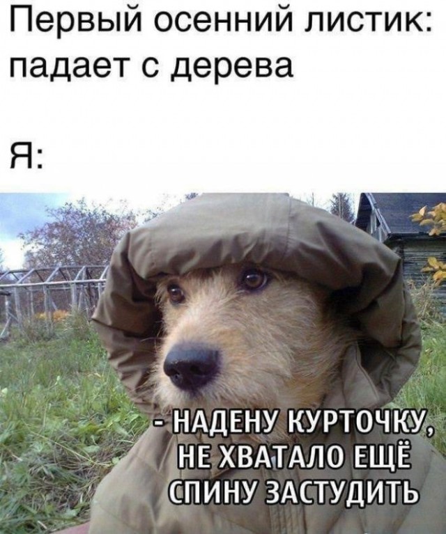 Картинки и мемы для настроения 09.06.2021